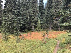 hike - mt-tamanos-151.jpg