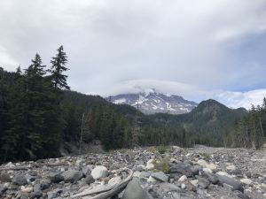 hike - post-rainier1.jpg