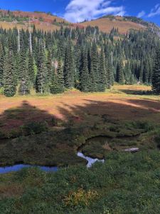 hike - mt-tamanos-18a1.jpg