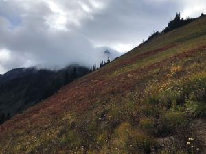 hike - tamanos-climb-061.jpg